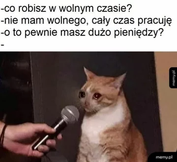 Mem o pracy zdalnej 