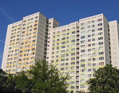 Miniatura: Berlin odkupuje 15 tys. mieszkań od...