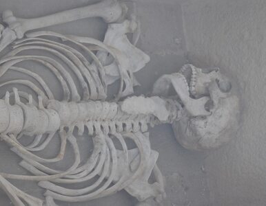 Miniatura: Odkryto grób kobiety-kowala sprzed 4000 lat