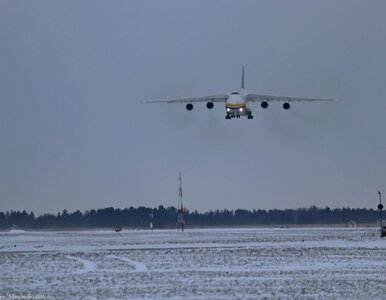 Miniatura: W Gdyni wylądował samolot-gigant –...