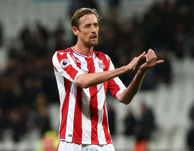 Miniatura: „Jest duży, czerwony, jego stopy wystają z...