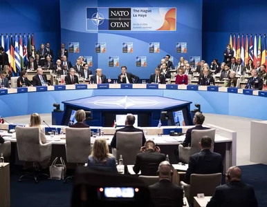 Miniatura: Alarmujące słowa niemieckiego polityka....