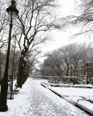 Miniatura: Paryż zrobił się biały. Stolica Francji...