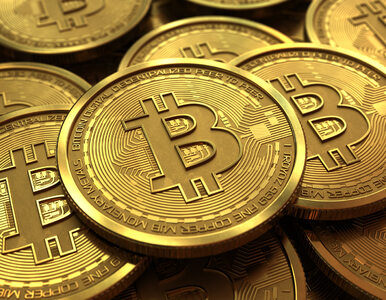 Miniatura: Kupili Bitcoiny za pieniądze z oszustw....