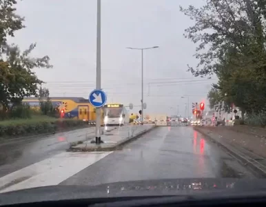 Miniatura: Zderzenie pociągu z autobusem. Nagranie...