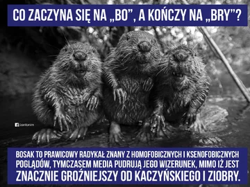 Memy przed wyborami prezydenckimi 