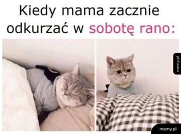 Mem z okazji Dnia Matki 