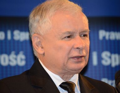 Miniatura: Kaczyński: pan Hofman przestanie być...