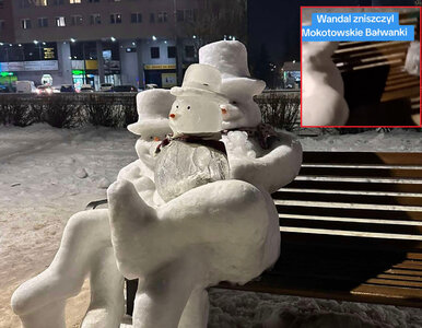 Miniatura: Rodzina bałwanków w Warszawie...