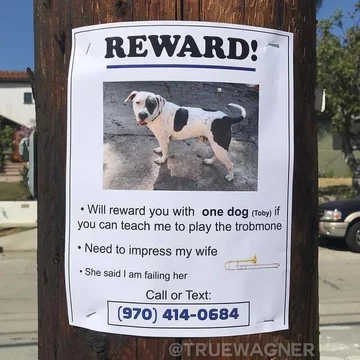 Nagroda! Oddam tego psa, jeśli nauczysz mnie grać na puzonie. Potrzebuję zaimponować mojej żonie. Powiedziała, że jestem dla niej rozczarowaniem