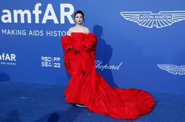 Fan Bingbing 