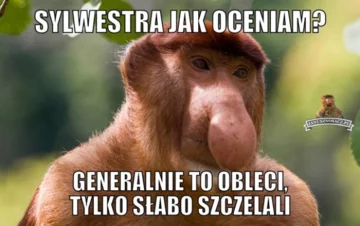 Mem z okazji Sylwestra 