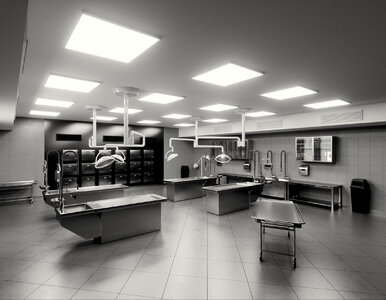 Miniatura: Skandaliczna pomyłka zakładu pogrzebowego....