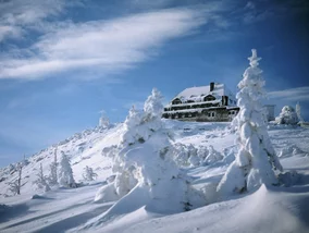 Miniatura: Turyści pytają o Lolobrygidę. „Jakakolwiek...