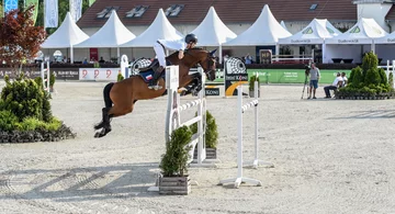 Podsumowanie Mistrzostw Polski 2018 Mistrzostwa Polski w skokach przez przeszkody. KJ Osadkowski w Jakubowicach.