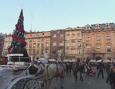 Miniatura: Krakowski rynek już tętni świąteczną...