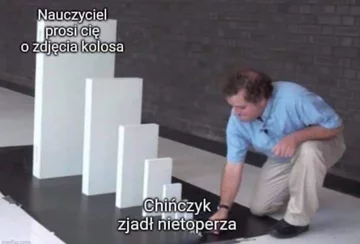 Mem z wykładowców włamujących się na grupki studenckie 