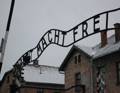 Miniatura: Złodzieje napisu z Auschwitz nie stawili...