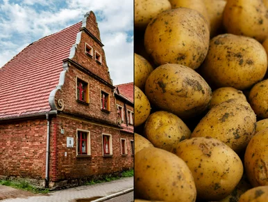 Miniatura: QUIZ. Tak mówi się w różnych częściach...