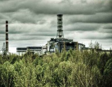 Miniatura: Ukrainie brakuje pieniędzy na elektrownię...