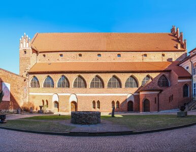 Miniatura: W tym zamku mieszkał nawet Mikołaj...
