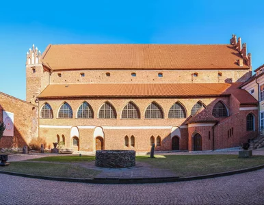 Miniatura: W tym zamku mieszkał nawet Mikołaj...