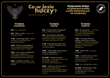 Co w&nbsp;lesie huczy?