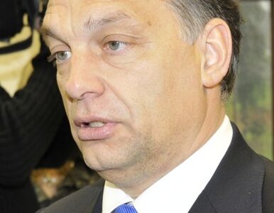 Miniatura: Orban: Musimy chronić zewnętrzne granice...