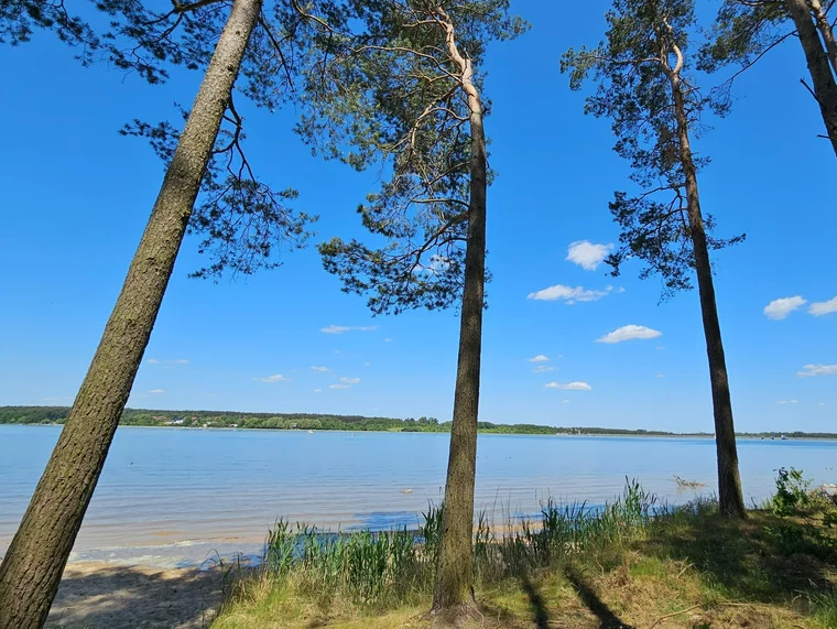 Woda do kąpieli, zieleń i plaża. To idealny zalew na weekend w Polsce