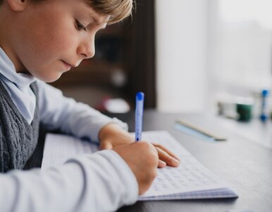 Miniatura: QUIZ ortograficzny dla bystrych. Wskażesz...