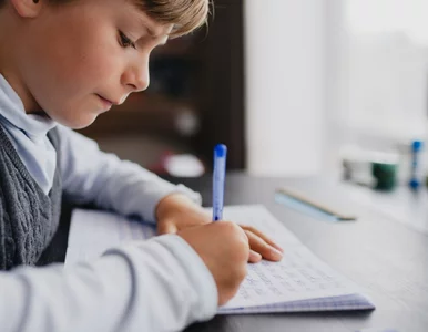 Miniatura: QUIZ ortograficzny dla bystrych. Wskażesz...