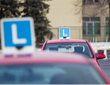 Miniatura: Awantura o egzaminy. Czy tysiące osób mogą...