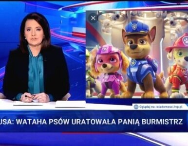 Miniatura: „Wiadomości” TVP kluczyły ws. użycia sceny...