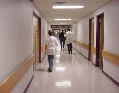 Miniatura: 1 kwietnia pielęgniarki stracą pracę?