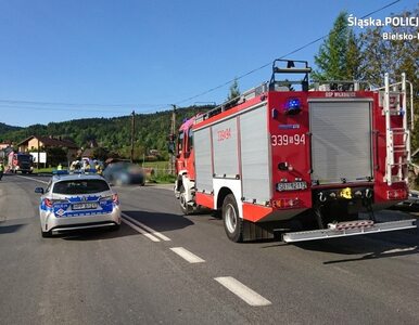 Miniatura: Samochód wjechał w trenujące kolarki....