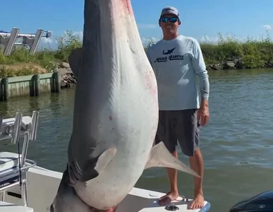 Miniatura: W tych wodach złowiono wiele ogromnych...