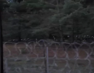 Miniatura: Kryzys na granicy. „Zbliża się duża grupa...