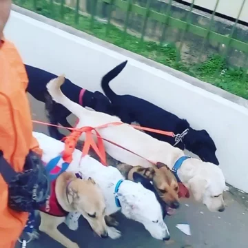 León Dario Sipes i jego podopieczni 