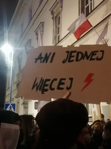 Plakaty i transparenty z marszu „Ani jednej więcej!” w Warszawie, 6.11.2021 r. 