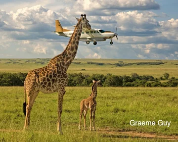 Finaliści konkursu Comedy Wildlife Photography Awards 