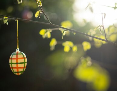 Miniatura: Długoterminowa prognoza dla Polski. Taka...