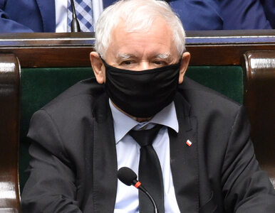 Miniatura: Jarosław Kaczyński uhonorowany przez...