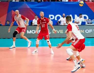 Miniatura: Ekspert ocenił grę Polaków w Lidze...