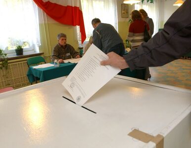 Miniatura: Szwajcarzy: Polacy powinni częściej głosować