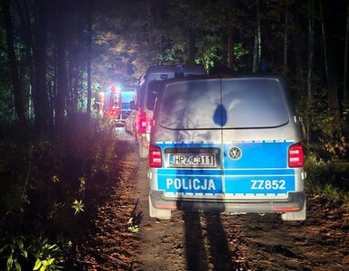 Miniatura: Wyszedł na grzyby i zaginął. Doszło do...