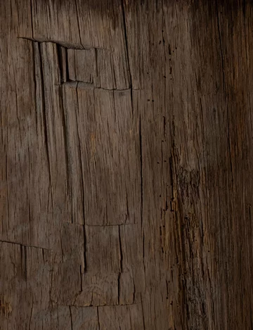 Sielski dom z widokami, projekt Norm Architects Norm Architects, dom na wsi, okna, drewno