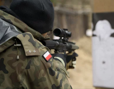 Miniatura: Ekspert nie zostawił suchej nitki na...