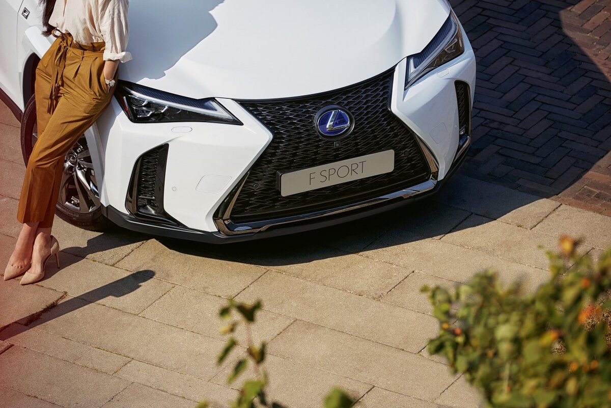 Lexus UX 250h 