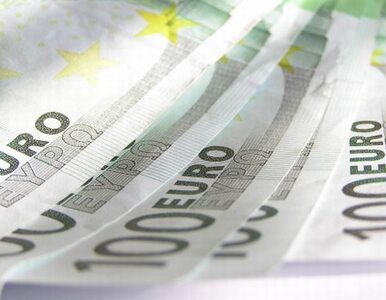 Miniatura: Polska dostanie 750 mln euro pożyczki od...