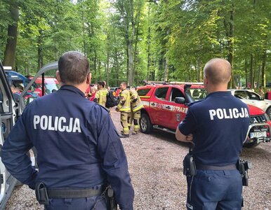 Miniatura: Koniec poszukiwań 12-letniej Eli. Pilny...